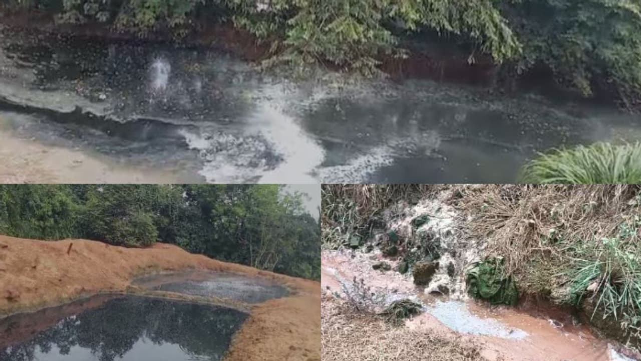 ആസിഡ് അടങ്ങിയ വെള്ളം പുറത്തേക്ക് ഒഴുകി, മീനുകൾ ചത്തു, 18 ഏക്കർ കൃഷി നശിച്ചു; ലാറ്റക്സ് കമ്പനിക്കെതിരെ പരാതി ആസിഡ് അടങ്ങിയ വെള്ളം പുറത്തേക്ക് ഒഴുകി, മീനുകൾ ചത്തു, 18 ഏക്കർ കൃഷി നശിച്ചു; ലാറ്റക്സ് കമ്പനിക്കെതിരെ പരാതി