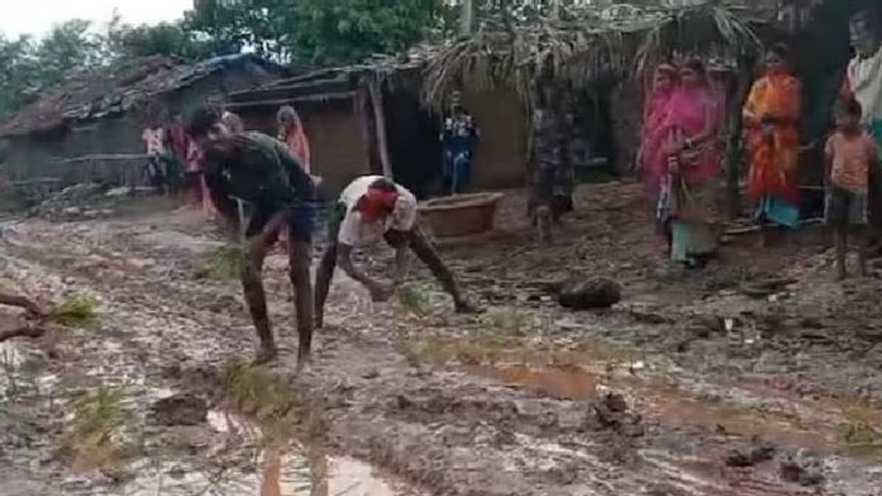 96 ലക്ഷത്തിന്റെ റോഡ് കണ്ടാൽ കണ്ടം തന്നെ, ബിഹാറിൽ നടുറോഡിൽ നെൽകൃഷിയുമായി നാട്ടുകാർ