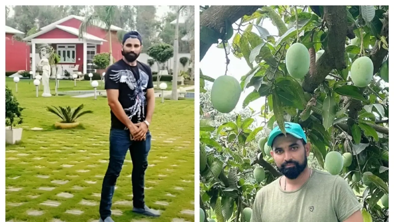 mohammed shami mohammed shami