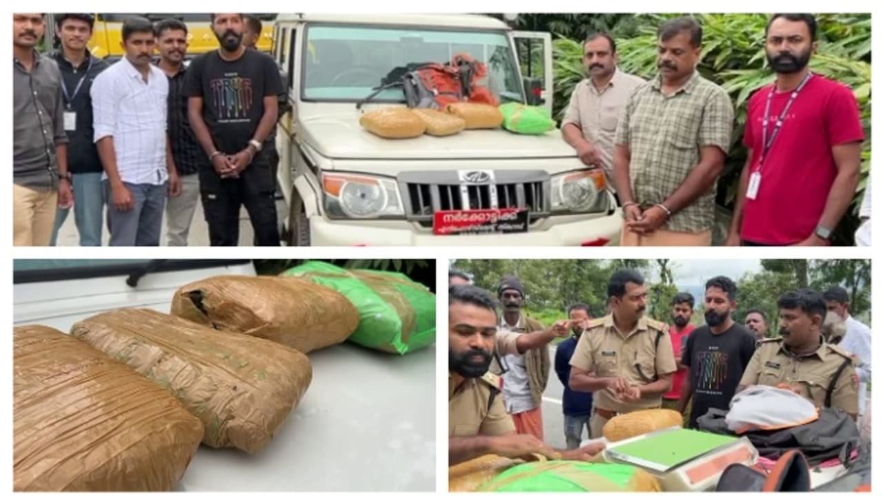  10 കിലോ കഞ്ചാവുമായി 2 പേർ ഇടുക്കിയിൽ പിടിയിൽ; ഒരാൾ ഓടിരക്ഷപ്പെട്ടു, ഇവരെത്തിയ ടോറസ് ലോറിയും കസ്റ്റ‍ഡിയിൽ