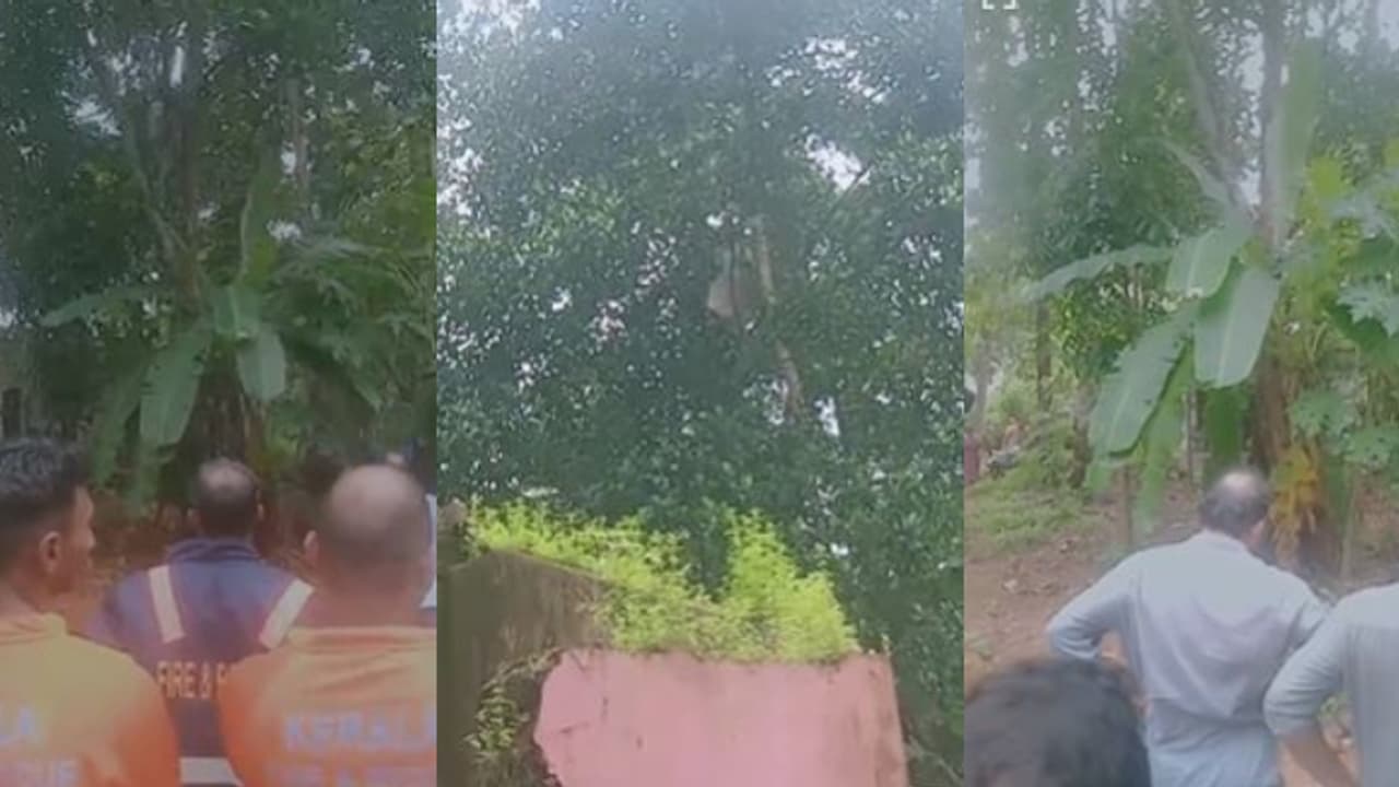 കയറുമായി പ്ലാവിൽ കയറി കുരുക്കിട്ടു, കൈയ്യിൽ വിഷവും; ആത്മഹത്യാ ഭീഷണിയുമായി 62 കാരൻ, ഒടുവില് താഴെയിറക്കി കയറുമായി പ്ലാവിൽ കയറി കുരുക്കിട്ടു, കൈയ്യിൽ വിഷവും; ആത്മഹത്യാ ഭീഷണിയുമായി 62 കാരൻ, ഒടുവില് താഴെയിറക്കി