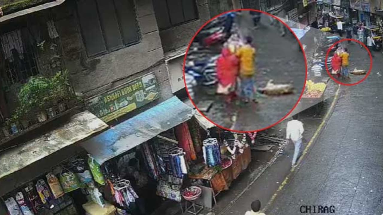 ഉമ്മയ്ക്കൊപ്പം നടക്കുന്ന 3 വയസുകാരി, പെട്ടെന്ന് അഞ്ചാം നിലയിൽ നിന്നും ഒരു നായ ദേഹത്തേക്ക് വീണു; ദാരുണാന്ത്യം