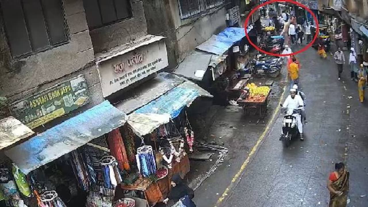 dog mumbra dog mumbra