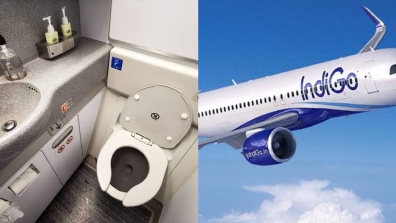 വിമാനം പറന്നുയര്ന്നു, ഉടൻ ശുചിമുറിയിൽ കയറി വാതിലടച്ച് മലയാളി യുവാവ്, പിന്നാലെ അലാറം, അറസ്റ്റ് പുകവലിച്ചതിന് വിമാനം പറന്നുയര്ന്നു, ഉടൻ ശുചിമുറിയിൽ കയറി വാതിലടച്ച് മലയാളി യുവാവ്, പിന്നാലെ അലാറം, അറസ്റ്റ് പുകവലിച്ചതിന്