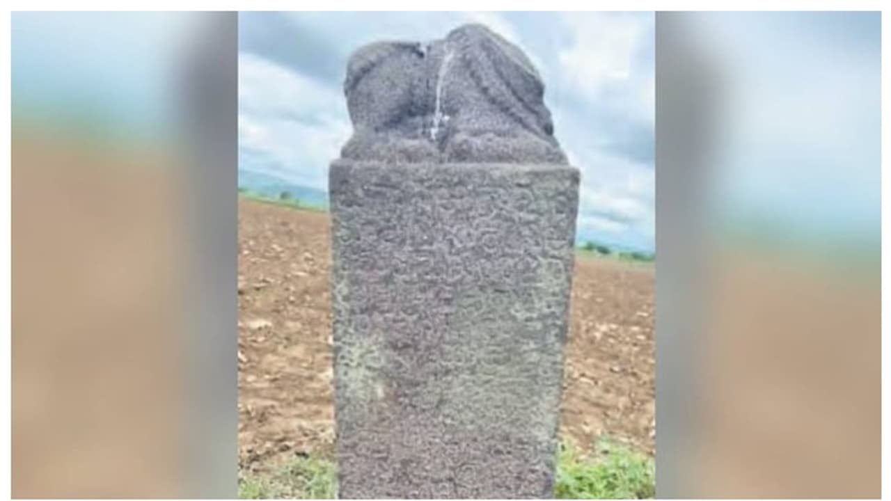 ദാനം ചെയ്തത് 800 സ്വർണ്ണനാണയങ്ങൾ; കൊടുംങ്കാട്ടിൽ നിന്നും കണ്ടെത്തിയ ലിഖിതം 15 ാം നൂറ്റാണ്ടിലേത് 