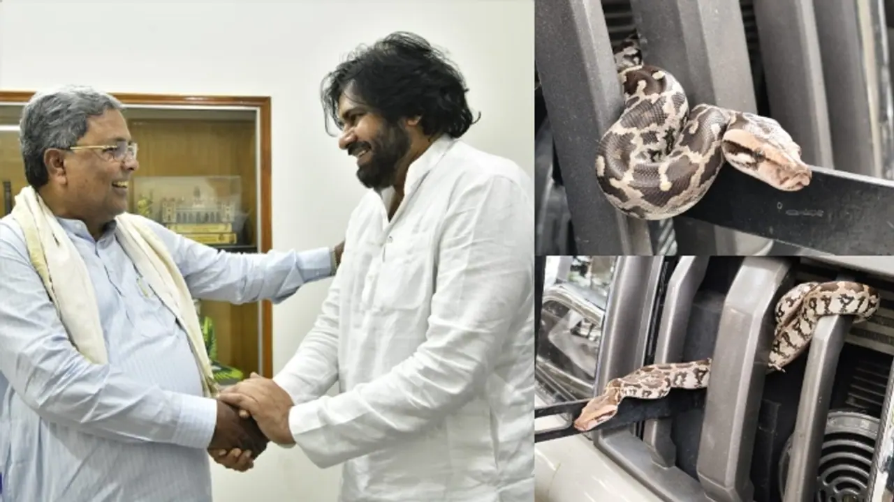 ಸಿದ್ದರಾಮಯ್ಯ ಭೇಟಿಗೆ ಬಂದ ಆಂಧ್ರ ಡಿಸಿಎಂ ಪವನ್ ಕಲ್ಯಾಣ್ ವಾಹನದಲ್ಲಿ ಹೆಬ್ಬಾವು! ಸಿದ್ದರಾಮಯ್ಯ ಭೇಟಿಗೆ ಬಂದ ಆಂಧ್ರ ಡಿಸಿಎಂ ಪವನ್ ಕಲ್ಯಾಣ್ ವಾಹನದಲ್ಲಿ ಹೆಬ್ಬಾವು!