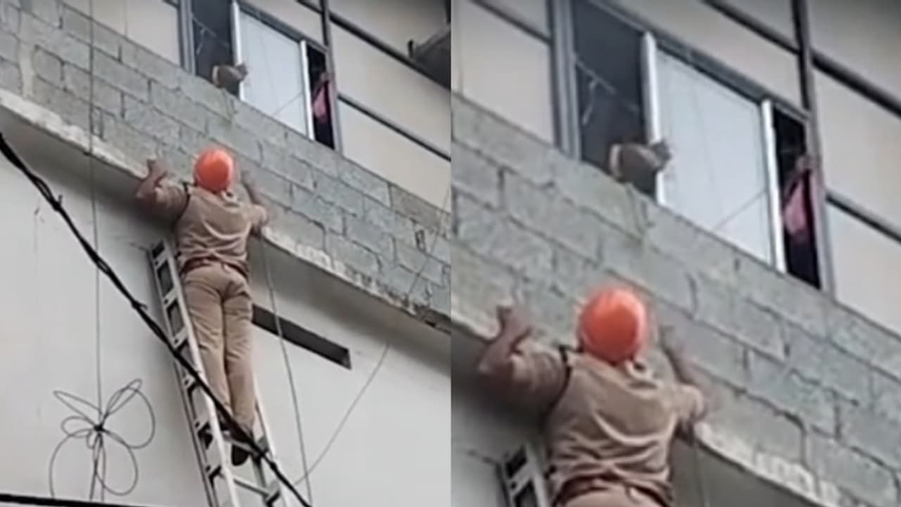 മൂന്നുനില കെട്ടിടത്തില് തീപിടിത്തം; ഉള്ളില് കുടുങ്ങിയ അതിഥി തൊഴിലാളികളെ രക്ഷപ്പെടുത്തി മൂന്നുനില കെട്ടിടത്തില് തീപിടിത്തം; ഉള്ളില് കുടുങ്ങിയ അതിഥി തൊഴിലാളികളെ രക്ഷപ്പെടുത്തി