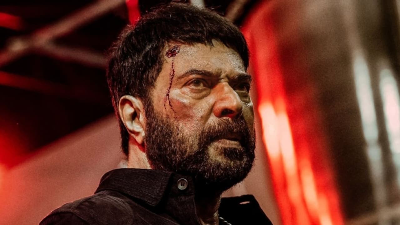 അറബിക് പതിപ്പ് തിയറ്ററില് തുടരുന്നതിനിടെ 'ജോസ് ഏട്ടായി' ഒടിടിയില്; 'ടര്ബോ' സ്ട്രീമിംഗ് ആരംഭിച്ചു അറബിക് പതിപ്പ് തിയറ്ററില് തുടരുന്നതിനിടെ 'ജോസ് ഏട്ടായി' ഒടിടിയില്; 'ടര്ബോ' സ്ട്രീമിംഗ് ആരംഭിച്ചു