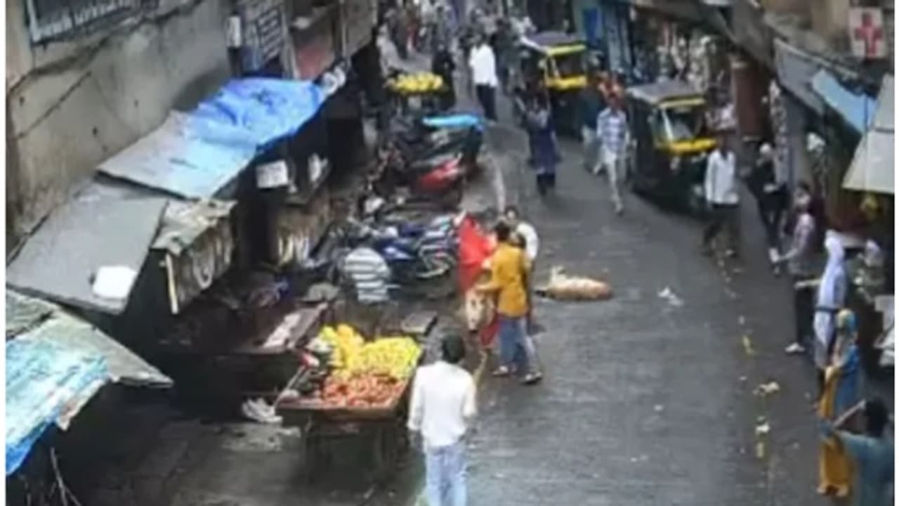 അഞ്ചാം നിലയിൽ നിന്ന് വളർത്തുനായ വീണത് നാല് വയസുകാരിയുടെ ശരീരത്തിലേക്ക്, ദാരുണ മരണം; ഉടമ അറസ്റ്റിൽ