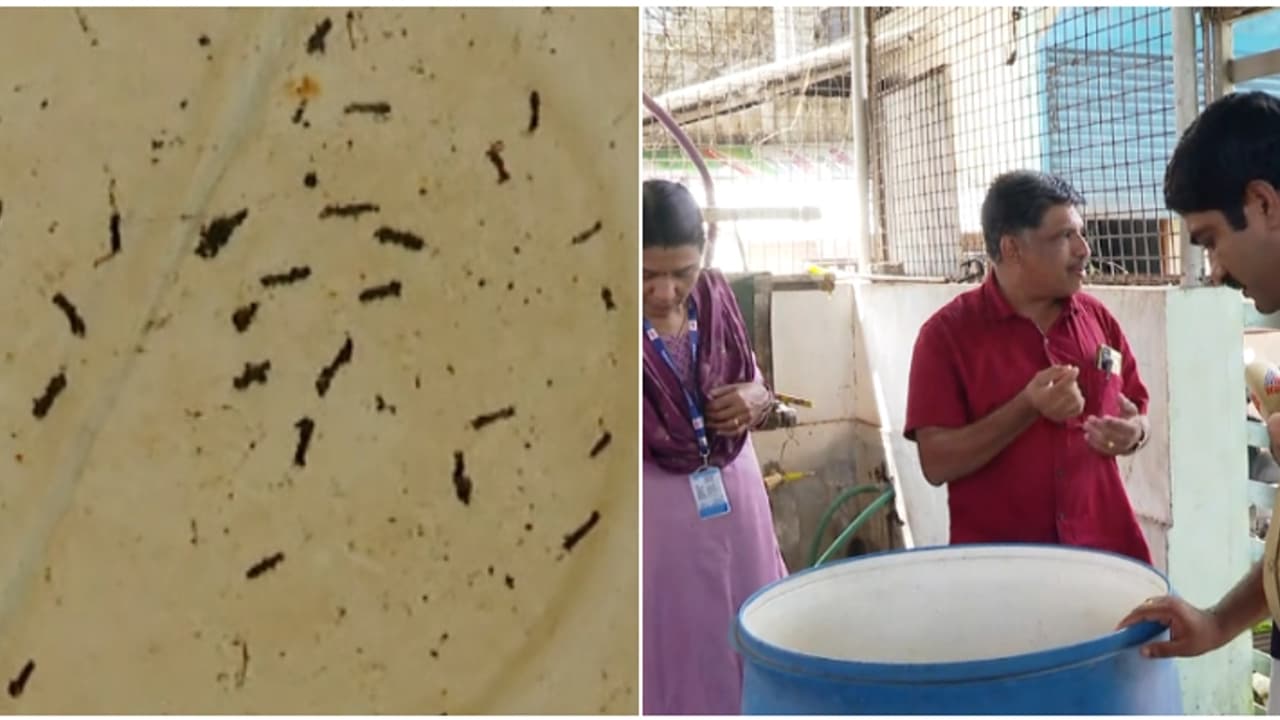 ലാർവ, വണ്ട്, പുഴു...; ഇതൊക്കെ കണ്ടത് ചായ ഉണ്ടാക്കാൻ സ്റ്റൗവിൽ വച്ച വെള്ളത്തിൽ, മിൽമ ബൂത്ത് പൂട്ടിച്ച് നഗരസഭ