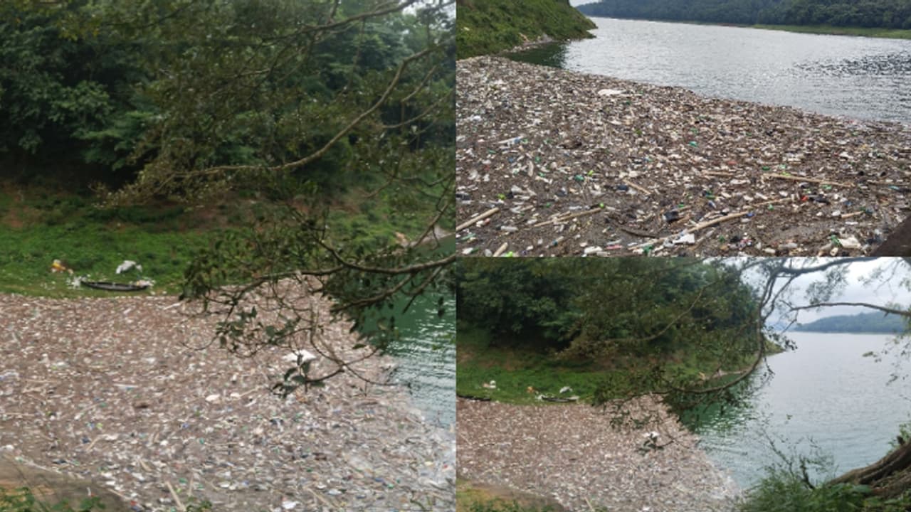 മഴയിൽ ഒഴുകിയെത്തിയത് ടണ് കണക്കിന് മാലിന്യം, അഴക് നഷ്ടമായി അഞ്ചുരുളി; ഡാമിന്റെ സംഭരണശേഷിയേയും ബാധിക്കുന്നു മഴയിൽ ഒഴുകിയെത്തിയത് ടണ് കണക്കിന് മാലിന്യം, അഴക് നഷ്ടമായി അഞ്ചുരുളി; ഡാമിന്റെ സംഭരണശേഷിയേയും ബാധിക്കുന്നു