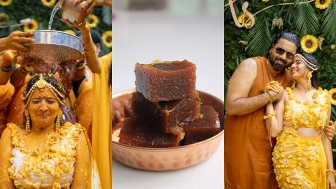 Tharun Sudhir Sonal Monteiro ಸೋನಲ್‌ಗಾಗಿಯೇ ಹಲಸಿನ ಹಲ್ವಾ..10 ಸಾವಿರ ಜನಕ್ಕೆ ಅಡುಗೆ!