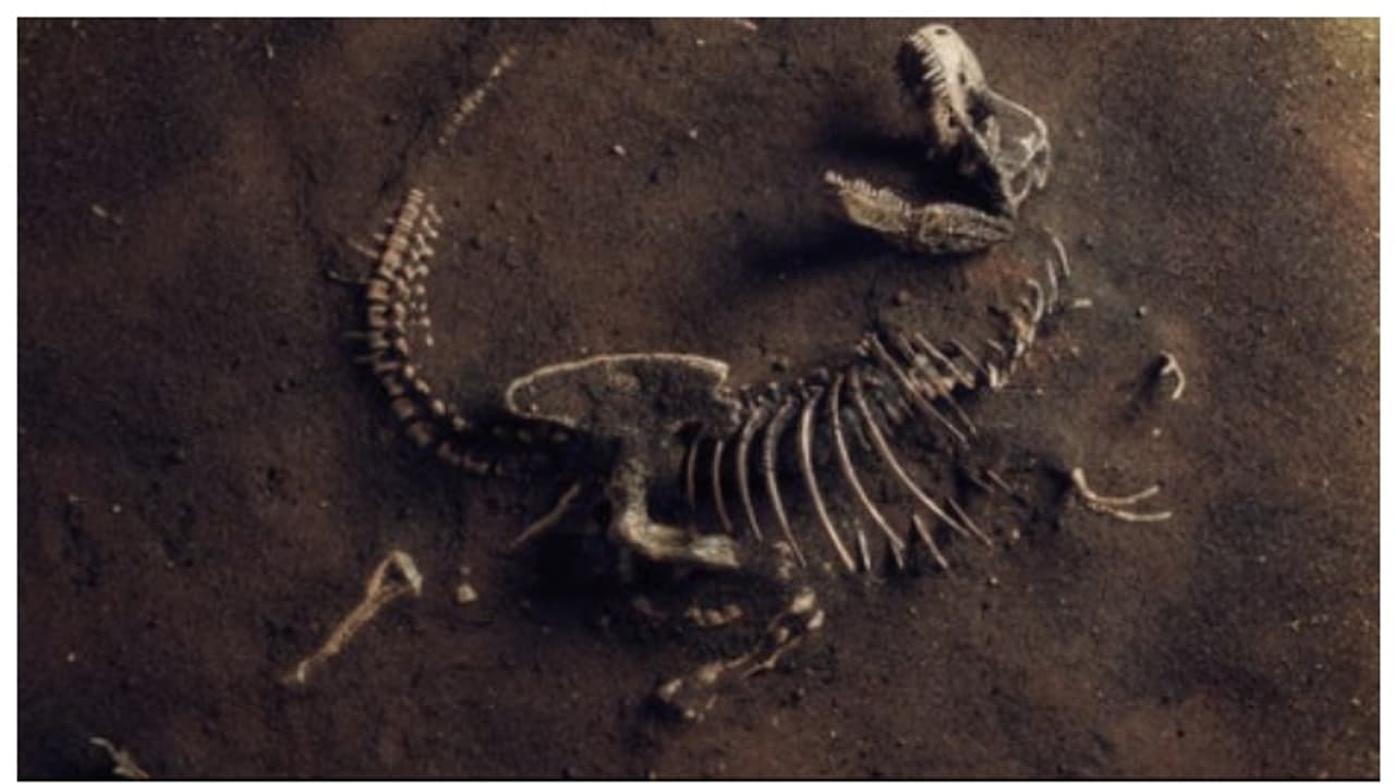 ഹമ്മോ, 800 മീറ്റര്‍ ഉയരത്തില്‍ സുനാമി ആഞ്ഞടിച്ചു! ദിനോസറുകളെ തീര്‍ത്ത ഛിന്നഗ്രഹ 'കൂട്ടയടി'യോ അന്ന് നടന്നത്? 