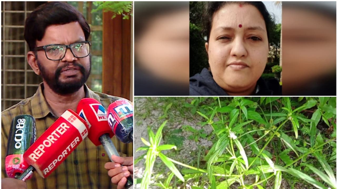 തുമ്പച്ചെടി തോരൻ കഴിച്ചതിന് പിന്നാലെ യുവതി മരിച്ച സംഭവം; പ്രതികരണവുമായി ഡോക്ടർ, അസ്വഭാവിക മരണത്തിന് കേസ് തുമ്പച്ചെടി തോരൻ കഴിച്ചതിന് പിന്നാലെ യുവതി മരിച്ച സംഭവം; പ്രതികരണവുമായി ഡോക്ടർ, അസ്വഭാവിക മരണത്തിന് കേസ്