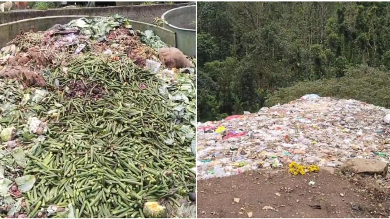 വർഷങ്ങളായ മാലിന്യത്തിന് 'ശാപമോക്ഷ'ത്തിന് പുതിയ കരാറായി, 77 ലക്ഷം രൂപയുടെ കരാർ ഒപ്പുവച്ചെന്ന് കട്ടപ്പന നഗരസഭ