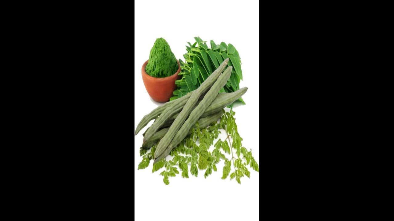  ಮಧುಮೇಹಿಗಳಿಗೆ ದಿ ಬೆಸ್ಟ್ ನುಗ್ಗೆ ಸೊಪ್ಪಿನ ಚಟ್ನಿ, ಮಾಡೋದು ಸುಲಭ 