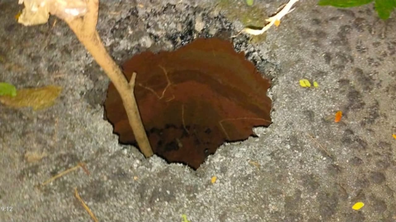 കുഴിപോലും ഇല്ലാതിരുന്ന റോഡ് , പെട്ടെന്ന് ബൈക്ക് യാത്രികന്റെ മുന്നിൽ വൻ ഗര്ത്തം, രക്ഷപ്പെട്ടത് തലനാരിഴയ്ക്ക് കുഴിപോലും ഇല്ലാതിരുന്ന റോഡ് , പെട്ടെന്ന് ബൈക്ക് യാത്രികന്റെ മുന്നിൽ വൻ ഗര്ത്തം, രക്ഷപ്പെട്ടത് തലനാരിഴയ്ക്ക്