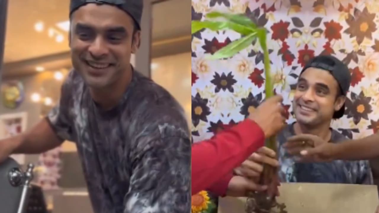 ടൊവിനോയ്ക്ക് സമ്മാനമായി വാഴ, കുസൃതിയല്ല, വീഡിയോയില് കാര്യവുമുണ്ട് ടൊവിനോയ്ക്ക് സമ്മാനമായി വാഴ, കുസൃതിയല്ല, വീഡിയോയില് കാര്യവുമുണ്ട്