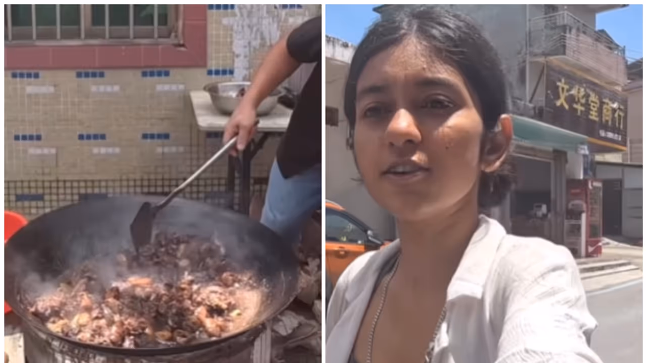 Viral Video: Indian influencer captures dog meat being sold publicly in China [WATCH]