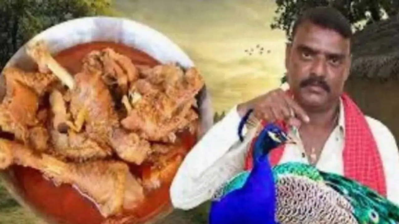 'Peacock curry recipe' lands Telangana YouTuber in soup, faces Wildlife Protection Act charges (WATCH) 'Peacock curry recipe' lands Telangana YouTuber in soup, faces Wildlife Protection Act charges (WATCH)
