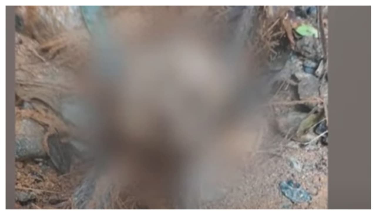 വയനാട്ടിലെ തെരച്ചിലിൽ 2 ശരീരഭാഗങ്ങൾ കൂടി കണ്ടെത്തി; ആനടികാപ്പിൽ നിന്ന് എയർലിഫ്റ്റ് ചെയ്തു വയനാട്ടിലെ തെരച്ചിലിൽ 2 ശരീരഭാഗങ്ങൾ കൂടി കണ്ടെത്തി; ആനടികാപ്പിൽ നിന്ന് എയർലിഫ്റ്റ് ചെയ്തു