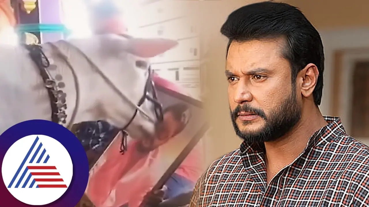 ಅಭಿಮಾನಿ ಹಿಡಿದಿದ್ದ ದರ್ಶನ್ ಫೋಟೋ ನೋಡಿ ಓಡೋಡಿ ಬಂದ ಹಂಗರಳ್ಳಿ ಪವಾಡ ಬಸವ; ವಿಡಿಯೋ ವೈರಲ್! ಅಭಿಮಾನಿ ಹಿಡಿದಿದ್ದ ದರ್ಶನ್ ಫೋಟೋ ನೋಡಿ ಓಡೋಡಿ ಬಂದ ಹಂಗರಳ್ಳಿ ಪವಾಡ ಬಸವ; ವಿಡಿಯೋ ವೈರಲ್!