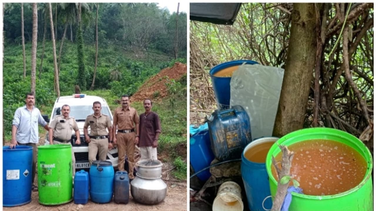 ഓണം ലക്ഷ്യമിട്ട് വ്യാജ ചാരായ നിർമാണം തകൃതി; കട്ടിപ്പാറയിൽ പിടികൂടിയത് 550 ലിറ്റർ വാഷും 50 ലിറ്റർ ചാരായവും ഓണം ലക്ഷ്യമിട്ട് വ്യാജ ചാരായ നിർമാണം തകൃതി; കട്ടിപ്പാറയിൽ പിടികൂടിയത് 550 ലിറ്റർ വാഷും 50 ലിറ്റർ ചാരായവും