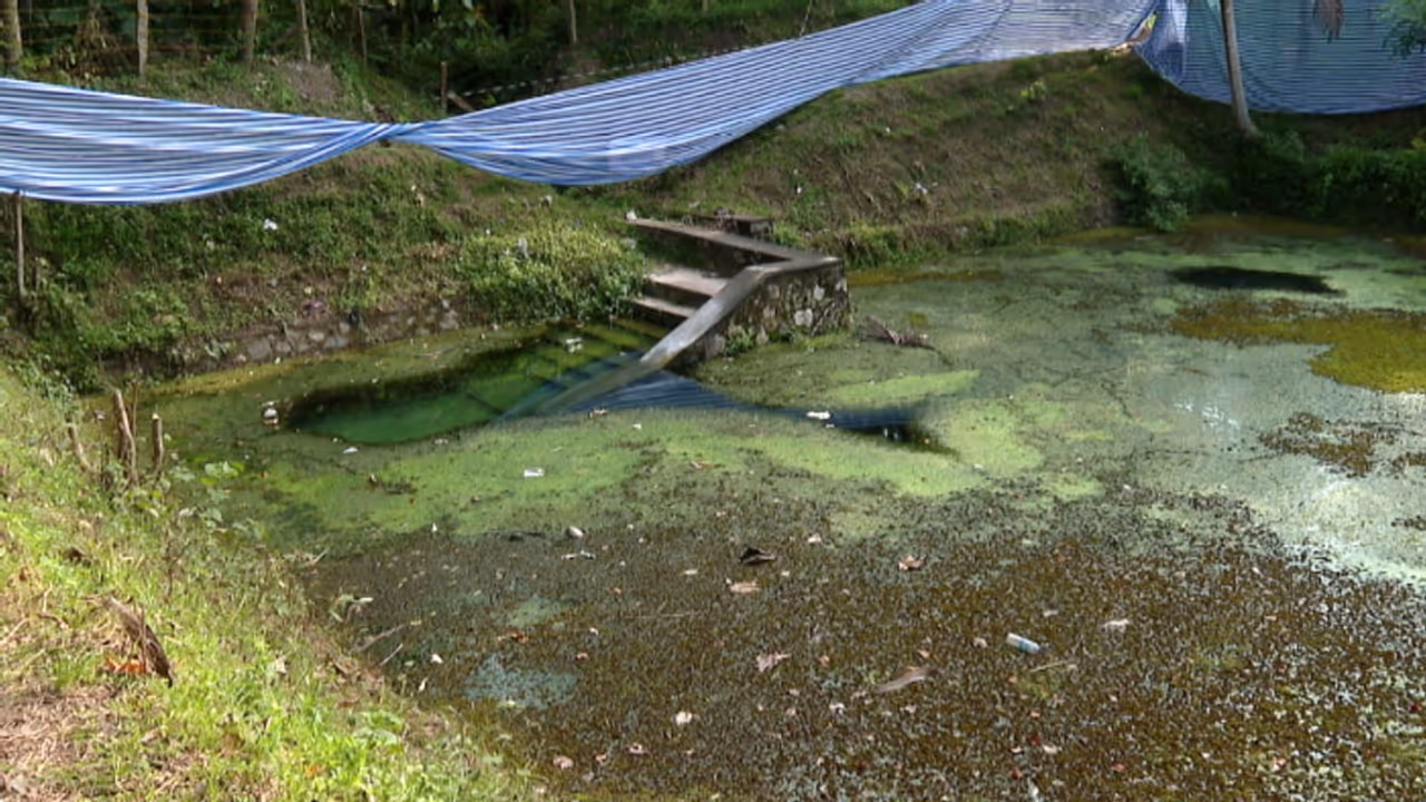 അമീബിക് മസ്തിഷ്കജ്വരം; ടാങ്കുകളിലും സ്വിമ്മിംഗ് പൂളുകളിലും രോഗാണു ഉണ്ടാകാം; ജലസ്രോതസുകളില്‍ ജാഗ്രത വേണം