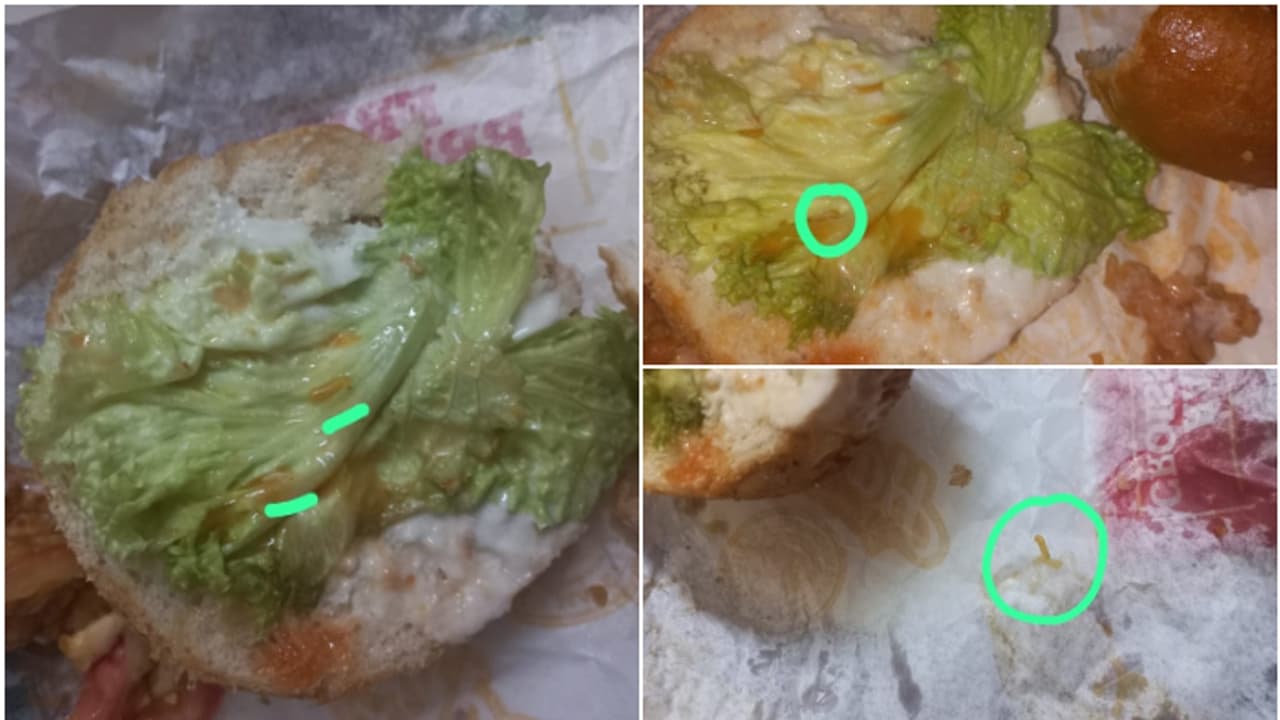 ചിക്കൻ ബർഗറിൽ ജീവനുള്ള പുഴു; കഴിച്ചവർക്ക് ദേഹാസ്വാസ്ഥ്യവും ഛർദിയും, പരാതി നൽകി ചിക്കൻ ബർഗറിൽ ജീവനുള്ള പുഴു; കഴിച്ചവർക്ക് ദേഹാസ്വാസ്ഥ്യവും ഛർദിയും, പരാതി നൽകി