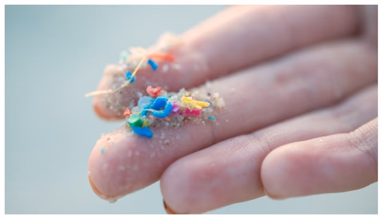 ഇന്ത്യന്‍ ഉപ്പ്, പഞ്ചസാര ബ്രാന്‍ഡുകളില്‍ മൈക്രോ പ്ലാസ്റ്റിക്കിന്‍റെ അംശം കൂടുതലെന്ന് പഠനം