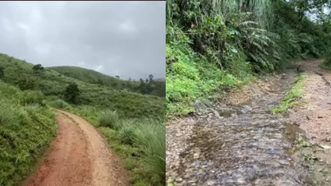 റോഡ് നിർമ്മാണം വനം വകുപ്പിന്റെ എതിർപ്പുമൂലം പാതിവഴിയിൽ; നാട്ടുകാർ നിയമ പോരാട്ടവുമായി ഹൈക്കോടതിയിൽ