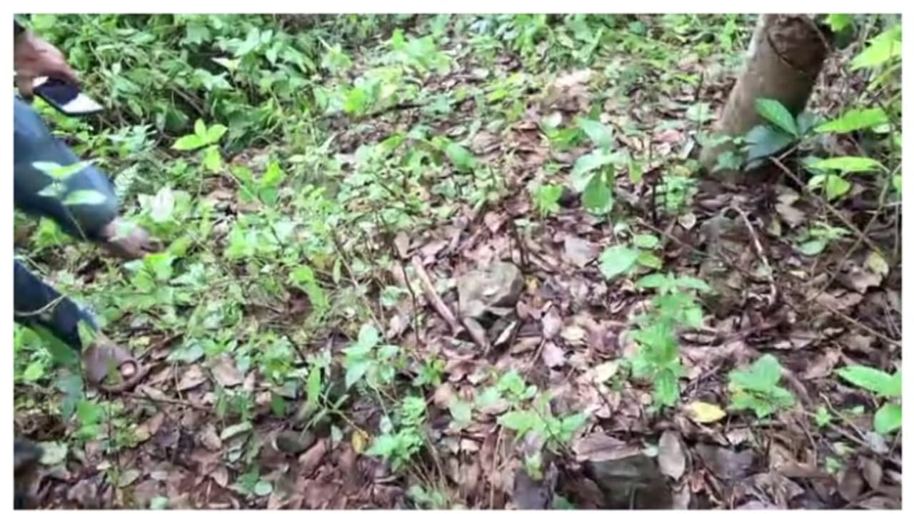 പത്തനംതിട്ടയിൽ റബർതോട്ടത്തിൽ നിന്ന് തലയോട്ടി ഉൾപ്പെടെ അസ്ഥികൂടഭാ​ഗങ്ങൾ കണ്ടെത്തി