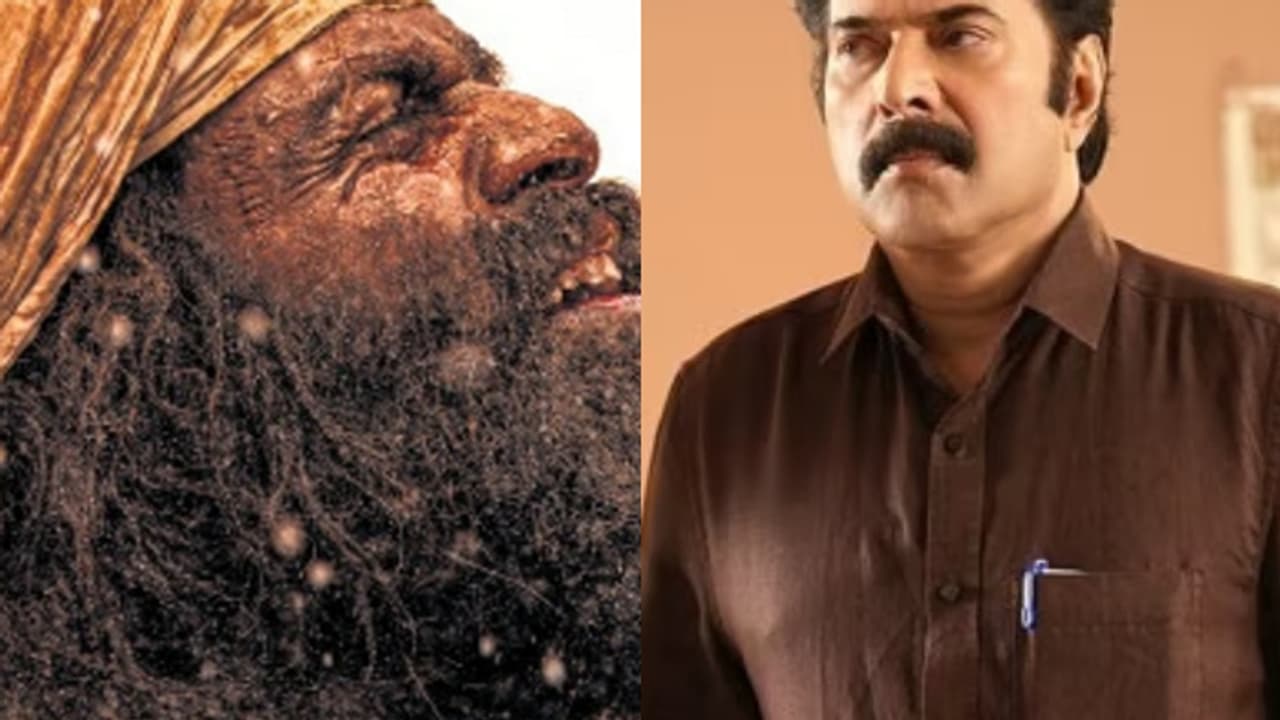 കാതലിലെ മമ്മൂട്ടിയെ മറികടന്ന് പൃഥ്വിരാജ് അവാര്ഡ് നേടിയതെങ്ങനെ?, സംസ്ഥാന ജൂറിയുടെ നിരീക്ഷണങ്ങള് കാതലിലെ മമ്മൂട്ടിയെ മറികടന്ന് പൃഥ്വിരാജ് അവാര്ഡ് നേടിയതെങ്ങനെ?, സംസ്ഥാന ജൂറിയുടെ നിരീക്ഷണങ്ങള്