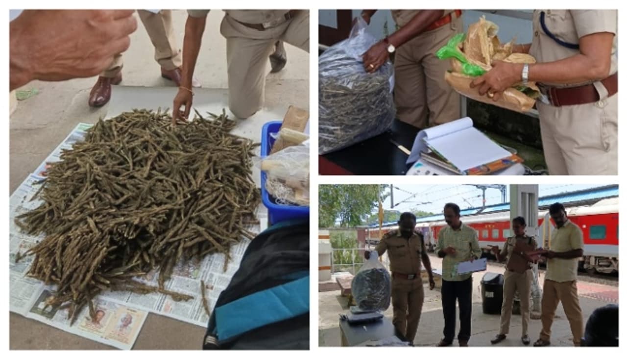 തൃശൂർ റെയിൽവേ സ്റ്റേഷനിൽ ഉപേക്ഷിക്കപ്പെട്ട ഒരു ബാഗ്, പരിശോധിച്ച് പൊലീസ്; ബാഗിൽ 5 കിലോ കഞ്ചാവ് തൃശൂർ റെയിൽവേ സ്റ്റേഷനിൽ ഉപേക്ഷിക്കപ്പെട്ട ഒരു ബാഗ്, പരിശോധിച്ച് പൊലീസ്; ബാഗിൽ 5 കിലോ കഞ്ചാവ്