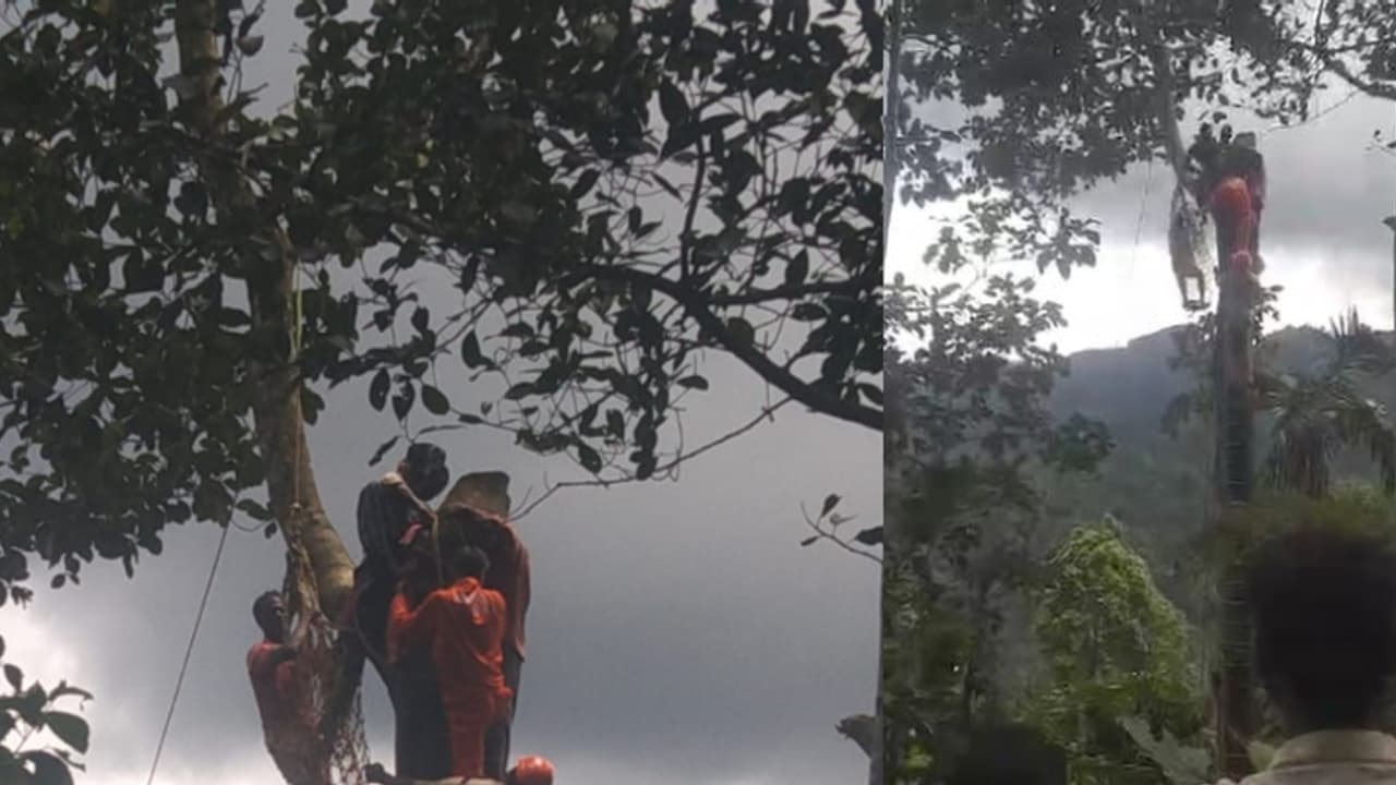 മുകളിൽ കയറി നിന്ന് മരം മുറിക്കുന്നതിനിടെ അപസ്മാരം വന്നു; പകച്ചുനിന്ന് താഴെയുള്ളവര്, രക്ഷകരായി ഫയര്ഫോഴ്സ് മുകളിൽ കയറി നിന്ന് മരം മുറിക്കുന്നതിനിടെ അപസ്മാരം വന്നു; പകച്ചുനിന്ന് താഴെയുള്ളവര്, രക്ഷകരായി ഫയര്ഫോഴ്സ്