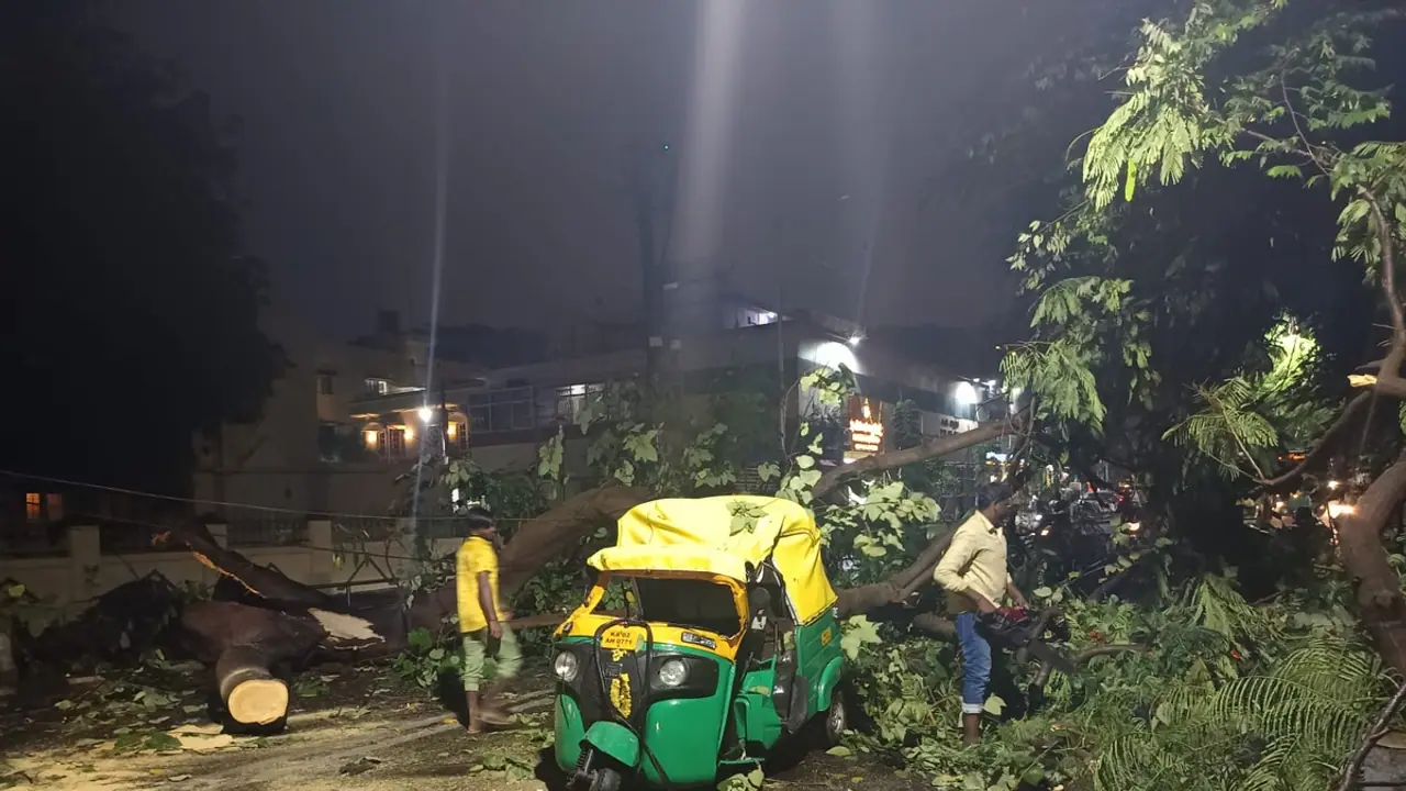 ಬೆಂಗಳೂರಲ್ಲಿ ಭಾರೀ ಮಳೆ; ಆಟೋ ಮೇಲೆ ಬಿದ್ದ ಬೃಹತ್ ಮರ! ಚಾಲಕ, ಪ್ರಯಾಣಿಕರಿಗೆ ಗಾಯ!