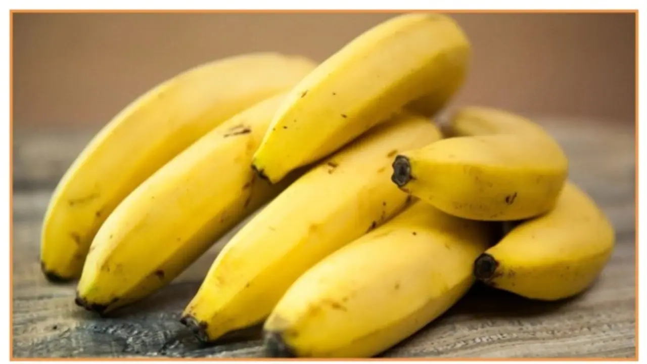 Health Tips : ദിവസവും ഒരു വാഴപ്പഴം കഴിച്ചോളൂ, ഗുണങ്ങൾ അറിയാം Health Tips : ദിവസവും ഒരു വാഴപ്പഴം കഴിച്ചോളൂ, ഗുണങ്ങൾ അറിയാം