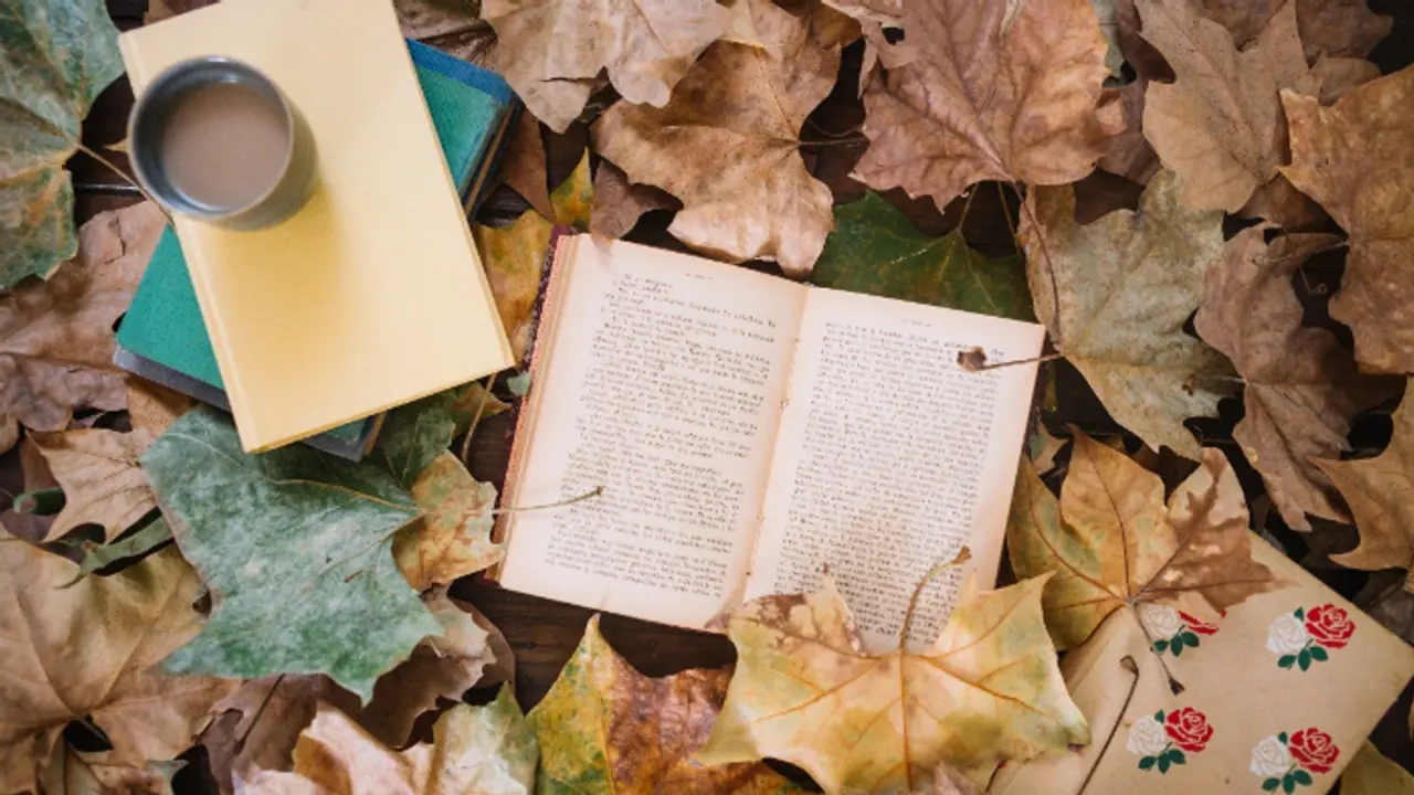 Valentine's Day 2025: 7 thoughtful books to gift your partner 