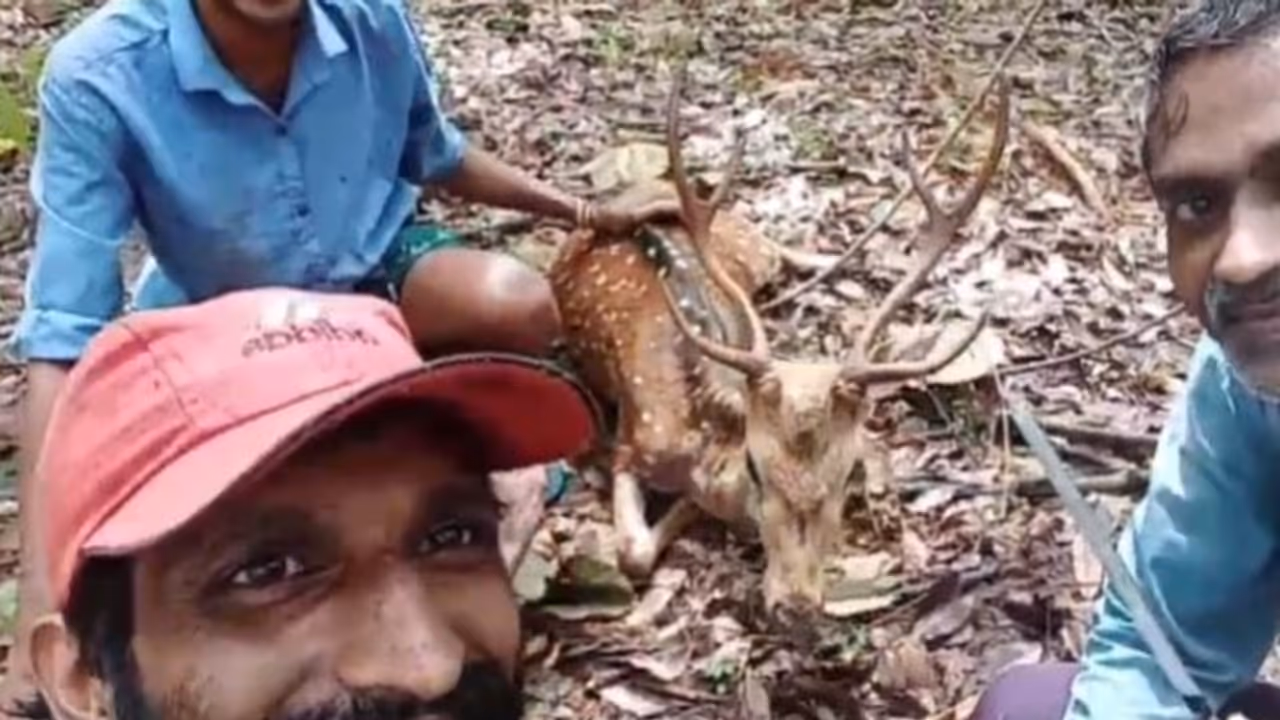 മാനിനെ തോട്ടത്തിൽ കെട്ടിയിട്ട് വീഡിയോ ചിത്രീകരിച്ചു, കേസ്, അതിനെ അവർ എന്ത് ചെയ്തെന്ന് അറിയില്ലെന്ന് വനംവകുപ്പ്