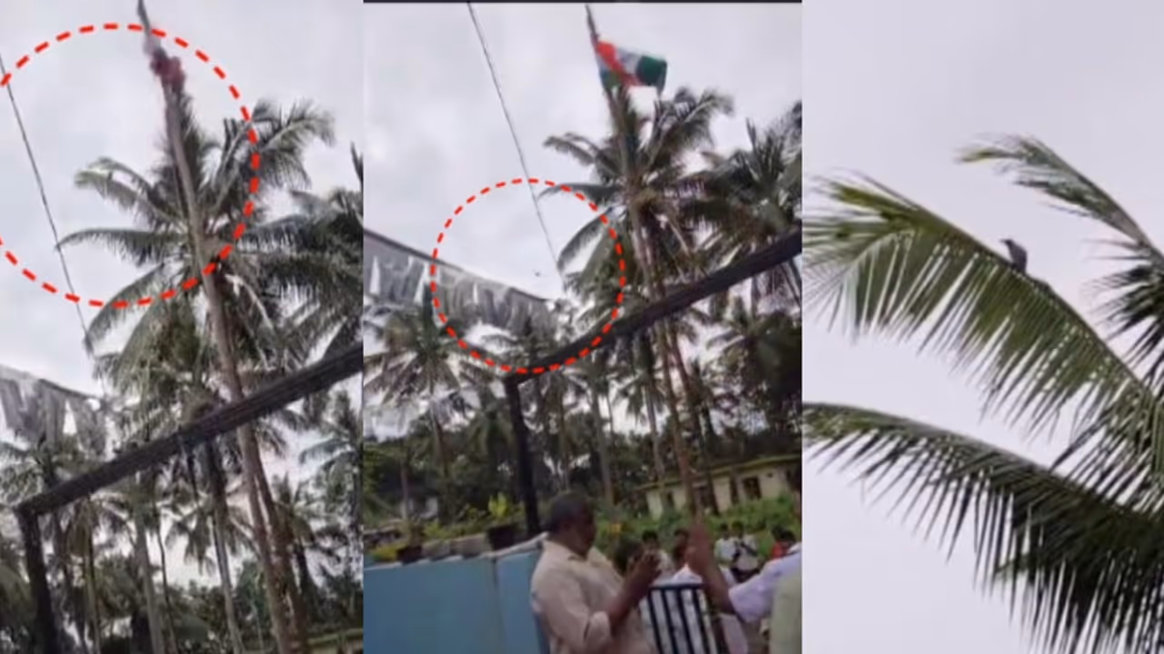സ്വാതന്ത്ര്യദിനത്തിൽ പതാക ഉയര്ത്താൻ സഹായിച്ച വൈറൽ കാക്ക! ഈ ആങ്കിൾ ഒന്ന് കണ്ടുനോക്കൂ, കാര്യമുണ്ട് സ്വാതന്ത്ര്യദിനത്തിൽ പതാക ഉയര്ത്താൻ സഹായിച്ച വൈറൽ കാക്ക! ഈ ആങ്കിൾ ഒന്ന് കണ്ടുനോക്കൂ, കാര്യമുണ്ട്