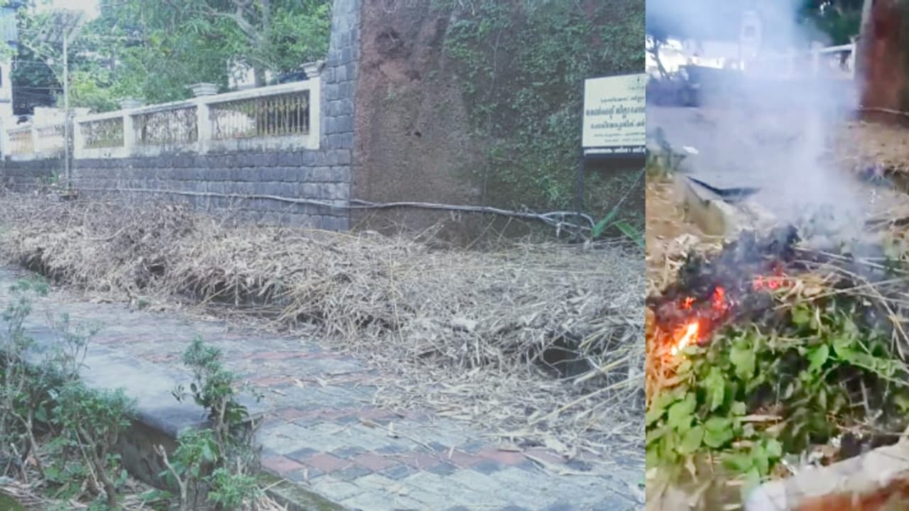 നൗഷാദിന്റെ ഓര്‍മക്കായി നിര്‍മിച്ച ബസ് ബേയിലെ അലങ്കാര ചെടികള്‍ വെട്ടിനശിപ്പിച്ച് തീയിട്ട് അജ്ഞാതർ 