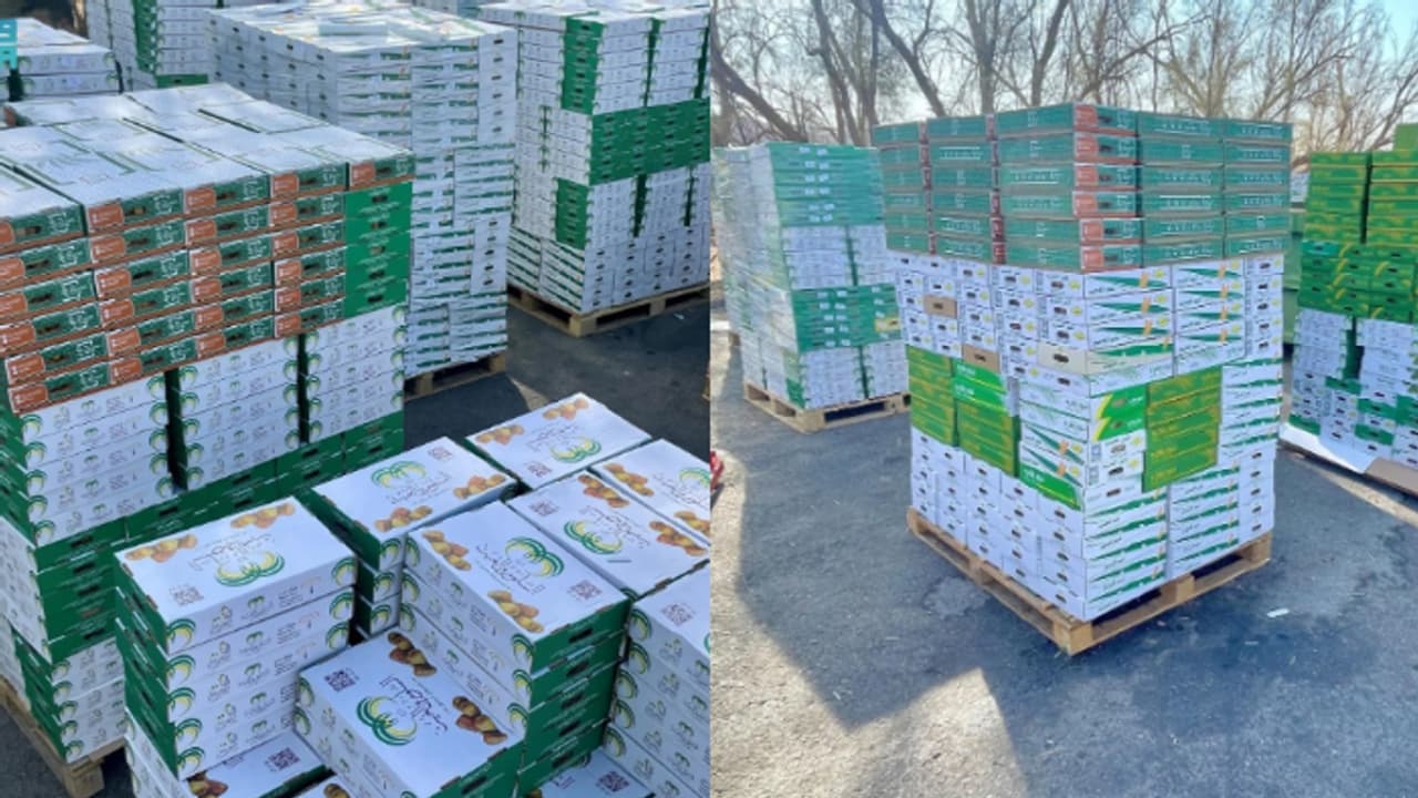 നൂറിലേറെ രാജ്യങ്ങളിലേക്ക് സൗദിയുടെ ഈന്തപ്പഴം; കയറ്റുമതിയില് വൻ മുന്നേറ്റം നൂറിലേറെ രാജ്യങ്ങളിലേക്ക് സൗദിയുടെ ഈന്തപ്പഴം; കയറ്റുമതിയില് വൻ മുന്നേറ്റം