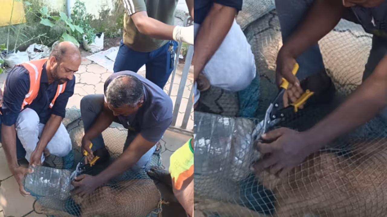 പ്ലാസ്റ്റിക് ബോട്ടില്‍ തലയില്‍ കുടുങ്ങി വലഞ്ഞത് 7 ദിവസം, തെരുവ് നായയ്ക്ക് രക്ഷകരായി ദുരന്തനിവാരണ സേന