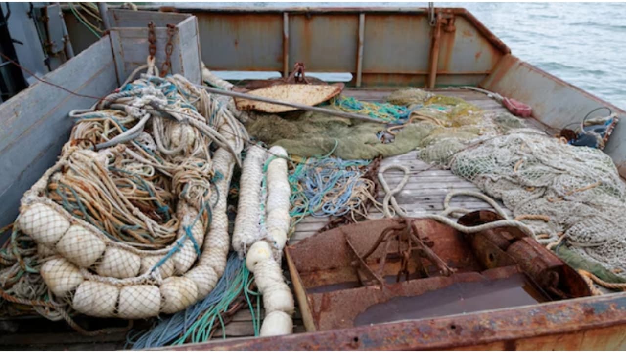 നിരോധിത പെലാജിക് വല ഉപയോഗിച്ച് മത്സ്യബന്ധനം: ബോട്ട് പിടിച്ചെടുത്തു, 2.5 ലക്ഷം രൂപ പിഴയുമീടാക്കി നിരോധിത പെലാജിക് വല ഉപയോഗിച്ച് മത്സ്യബന്ധനം: ബോട്ട് പിടിച്ചെടുത്തു, 2.5 ലക്ഷം രൂപ പിഴയുമീടാക്കി