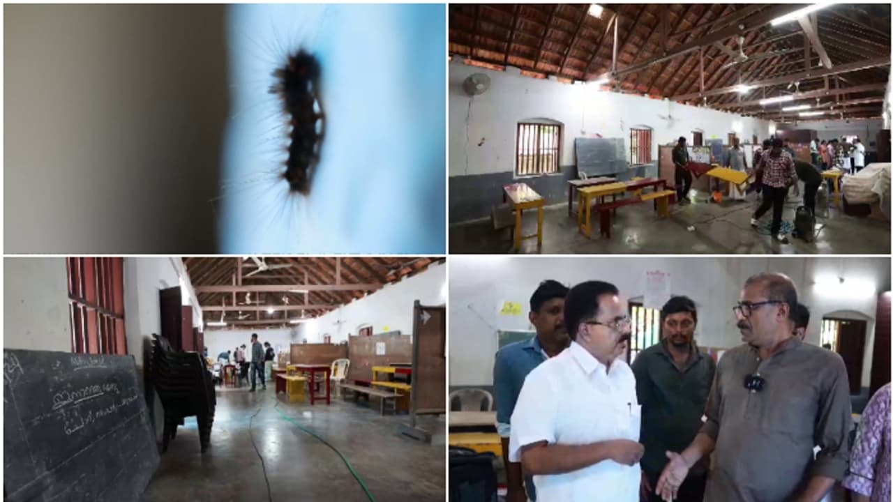 സ്കൂളിന് അവധിയോട് അവധി! കുട്ടികളല്ല, ക്ലാസ് റൂം നിറയെ തേക്ക് തോട്ടത്തിൽ നിന്നിറങ്ങിയ പുഴുക്കൾ, പരിഹാരമെന്ത്? സ്കൂളിന് അവധിയോട് അവധി! കുട്ടികളല്ല, ക്ലാസ് റൂം നിറയെ തേക്ക് തോട്ടത്തിൽ നിന്നിറങ്ങിയ പുഴുക്കൾ, പരിഹാരമെന്ത്?