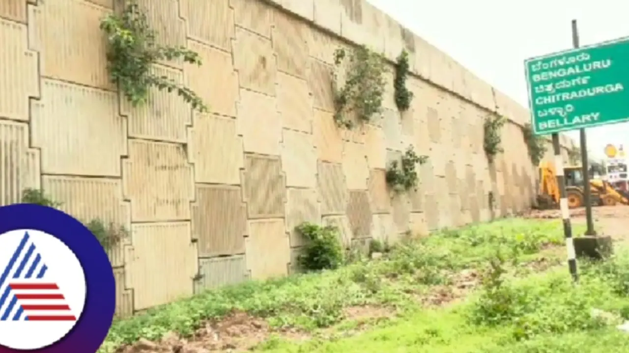 ಹೈವೇ ಫ್ಲೈಓವರ್ ತಡೆಗೋಡೆಯಲ್ಲಿ ಬೆಳೆದ ಗಿಡಗಂಟೆ; ವಾಹನ ಸವಾರರ ನಿತ್ಯ ನರಕಯಾತನೆ