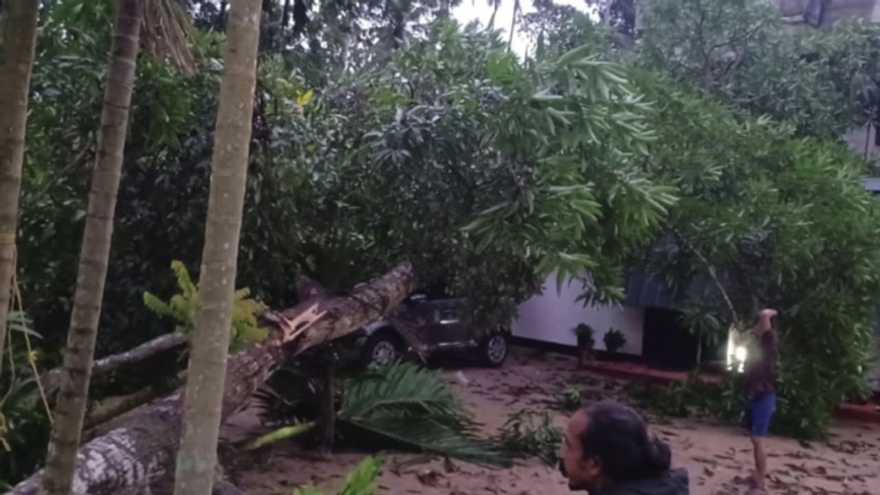 Kerala: Strong winds cause widespread damages in several districts; Train services disrupted 