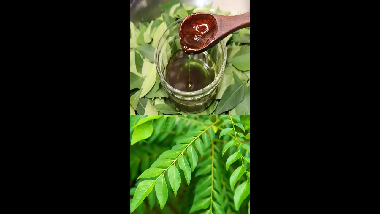 முடி கருகருவென வேகமாக வளர.. கருவேப்பிலை எண்ணெய் இப்படி தடவுங்க.. 