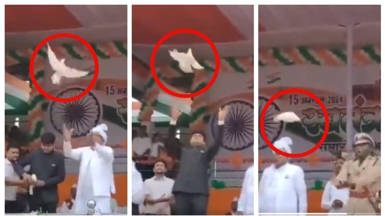 എംഎൽഎയും കലക്ടറും എസ്പിയും പ്രാവിനെ പറത്തി; താൻ പറത്തിയ പ്രാവ് മാത്രം പറക്കാത്തതിൽ നടപടി ആവശ്യപ്പെട്ട് എസ്പി 