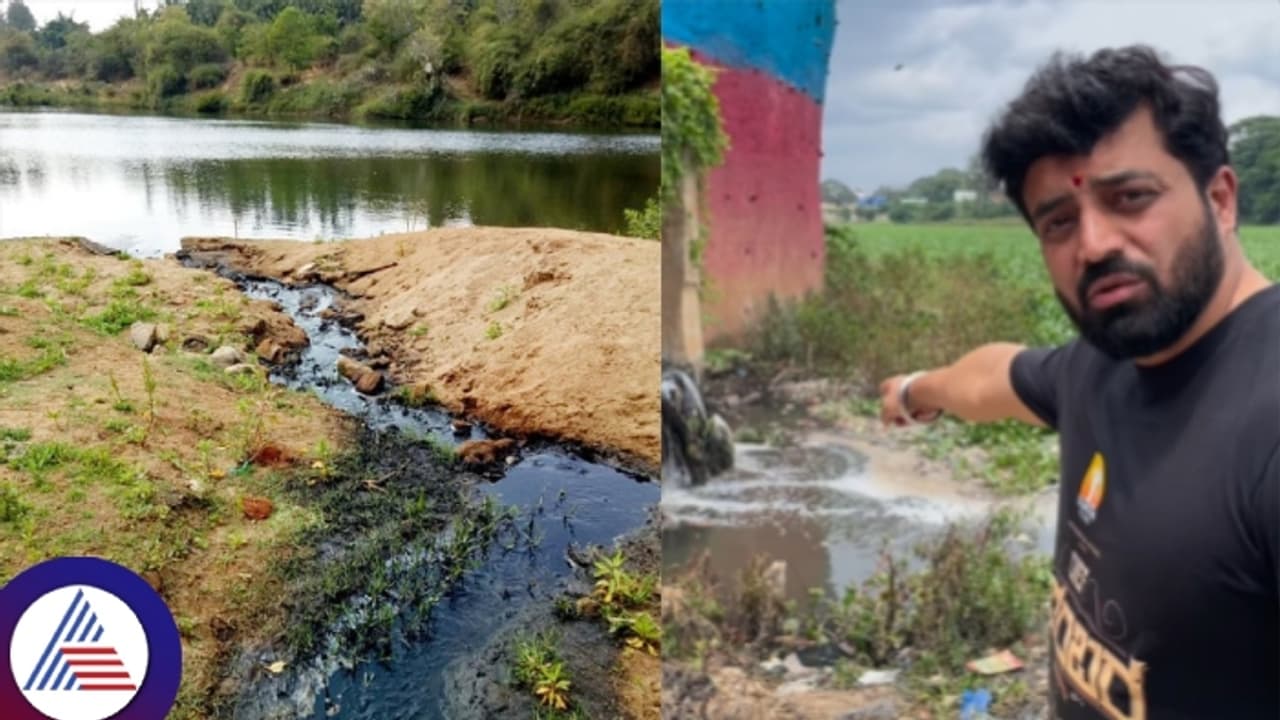 ಕರ್ನಾಟಕದಲ್ಲಿ ಕಲುಷಿತಗೊಂಡ 10 ನದಿಗಳ ಪಟ್ಟಿ ಇಲ್ಲಿದೆ ನೋಡಿ..